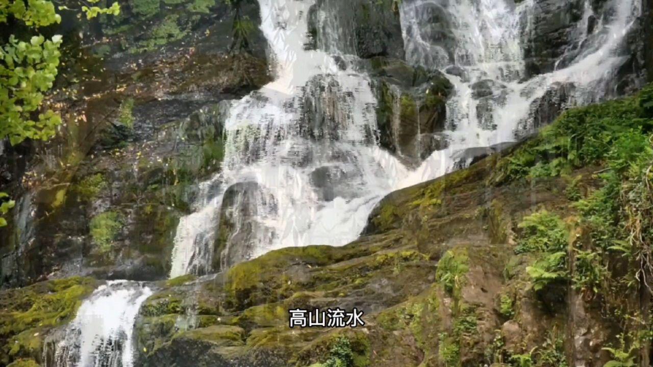 工伤赔付中 什么叫 月缴费工资？是每个月实发工资吗