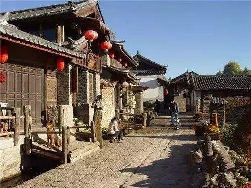 动物帮帮忙保卫家园