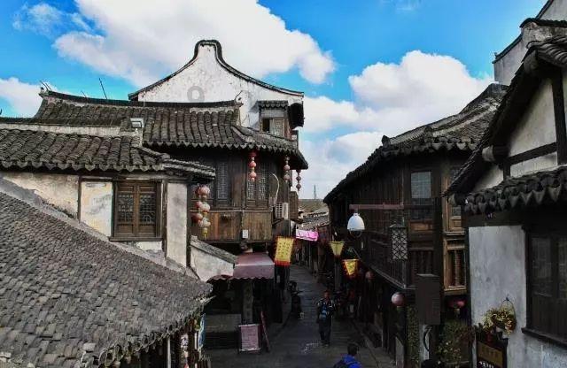《猎狐》中，杨建群与王柏林谁才是剧中最终的大boss呢？游戏画面